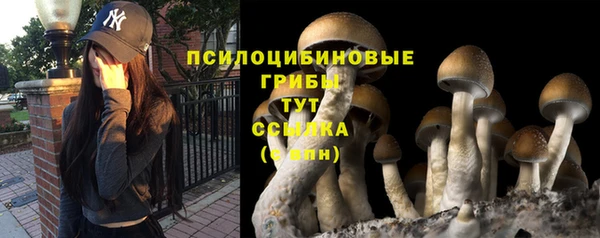 бутират Абинск