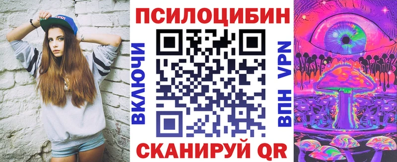 Галлюциногенные грибы Psilocybe  цены наркотик  Пудож 